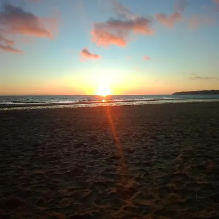 Les Trefles Proche De La En Baie Du Mont St Michel