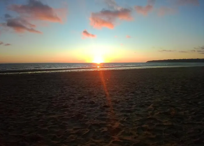 Les Trefles Proche De La En Baie Du Mont St Michel